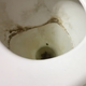 A black woman in a black top bends over a toilet and spreads her cheeks in close up. Her asshole opens and some poop action is visible. She wipes, shows the stained bowl and pulls her pink panties up. Widescreen format video. Over 3 minutes.